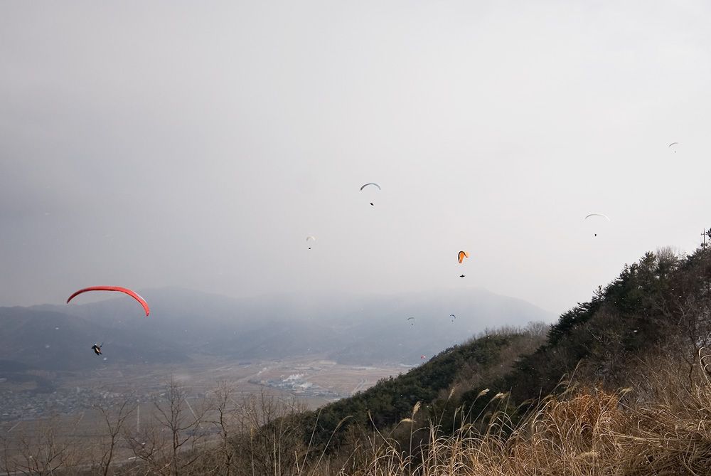 _D125816.jpg