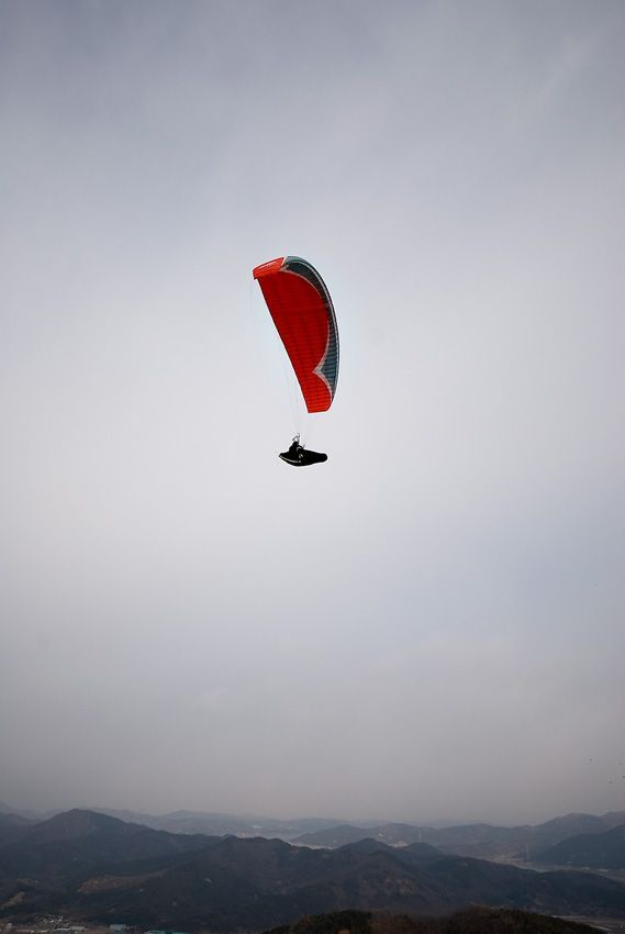 _D125779.jpg