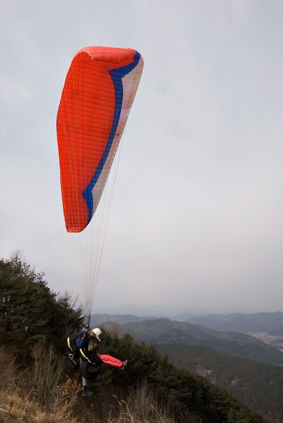 _D125766.jpg