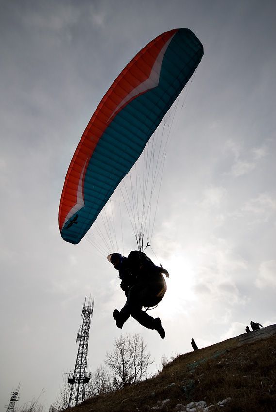 _D125780.jpg