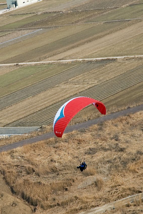 _D125896.jpg