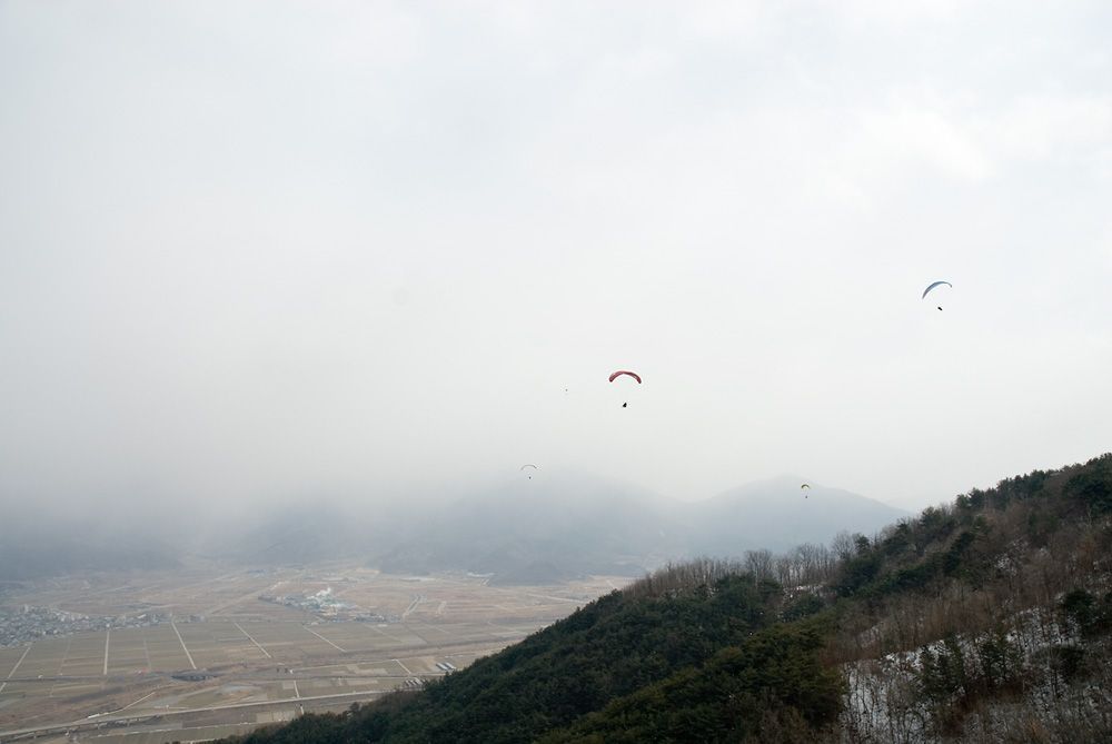 _D125861.jpg