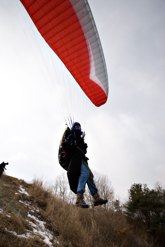 _D125842.jpg