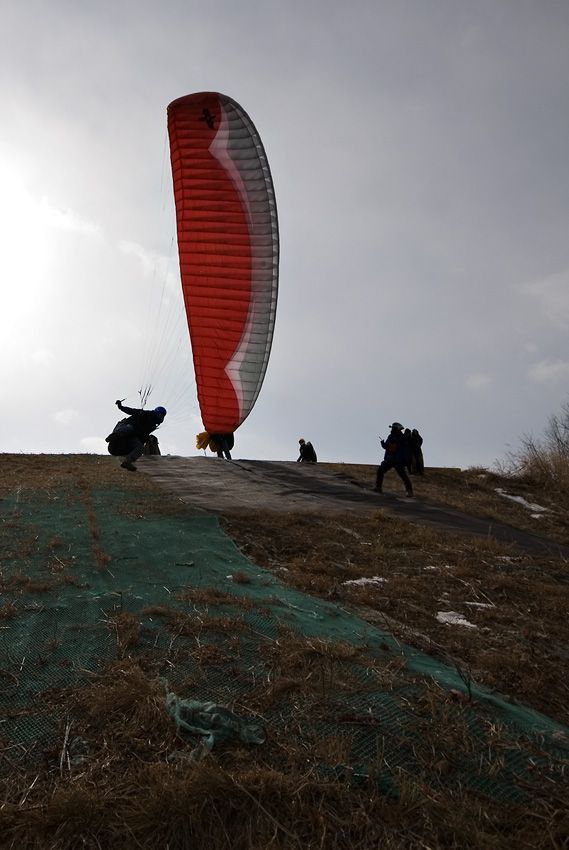 _D125839.jpg