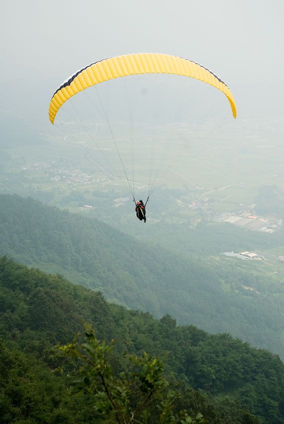 _D120015.jpg