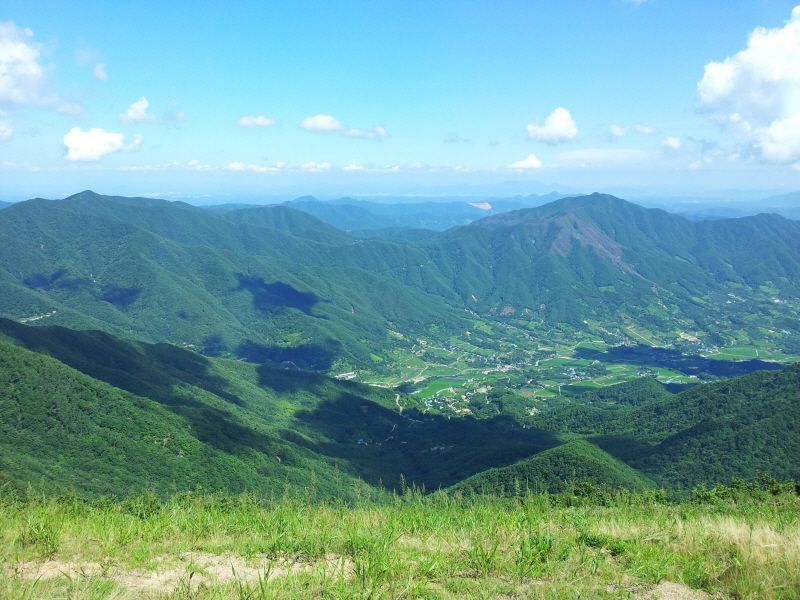 20120729_145214.jpg