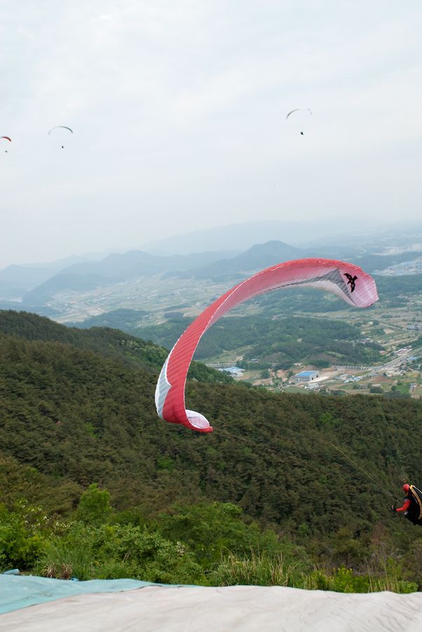 _D128782.jpg