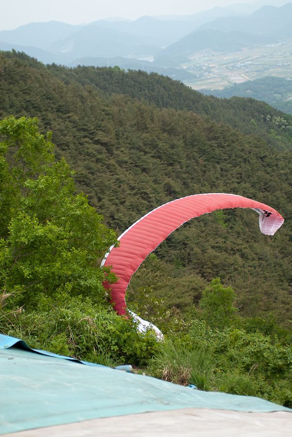 _D128786.jpg