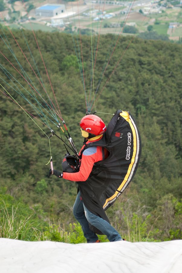 _D128781.jpg