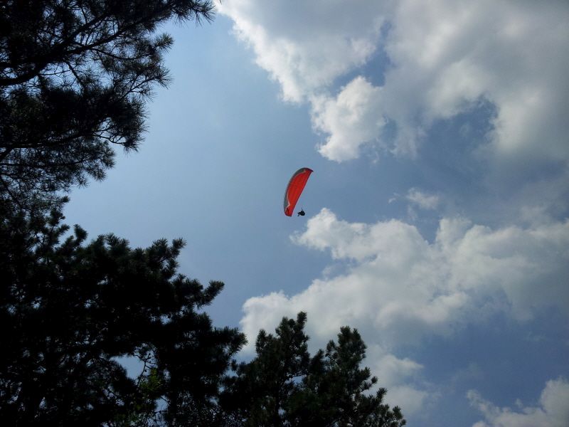 20120731_134804.jpg