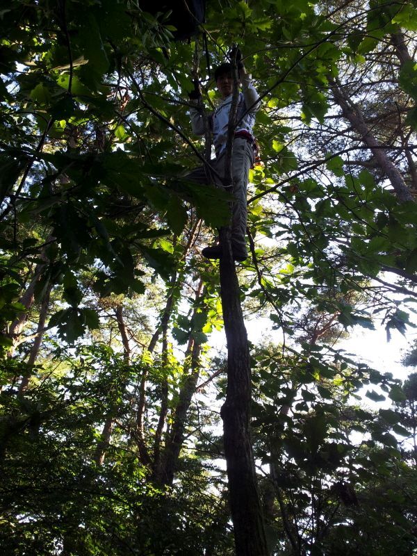 20120729_175200.jpg