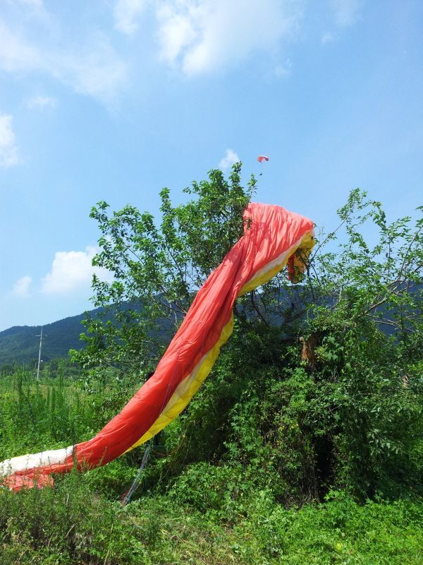20120731_134646.jpg