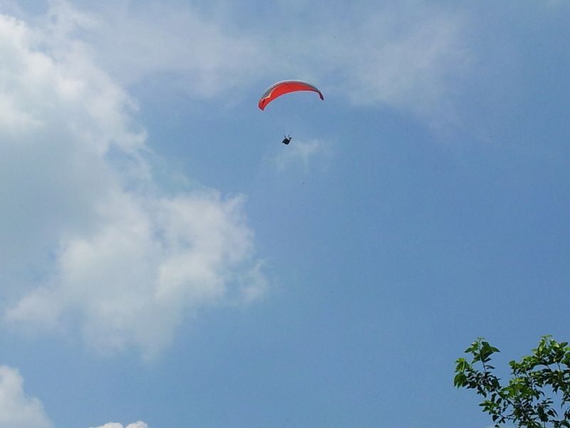 20120731_134658.jpg