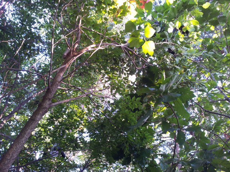 20120729_175446.jpg