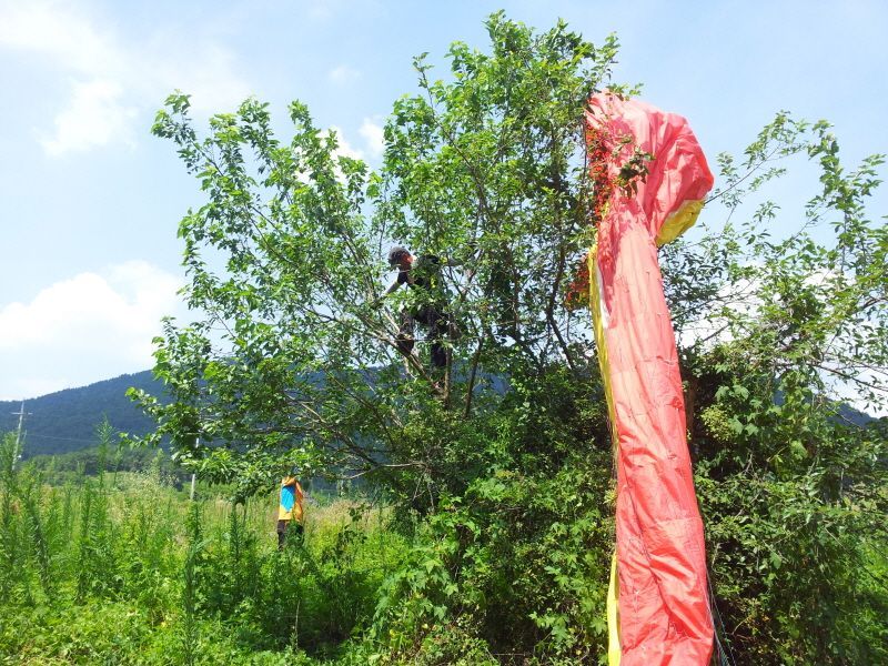 20120731_134322.jpg
