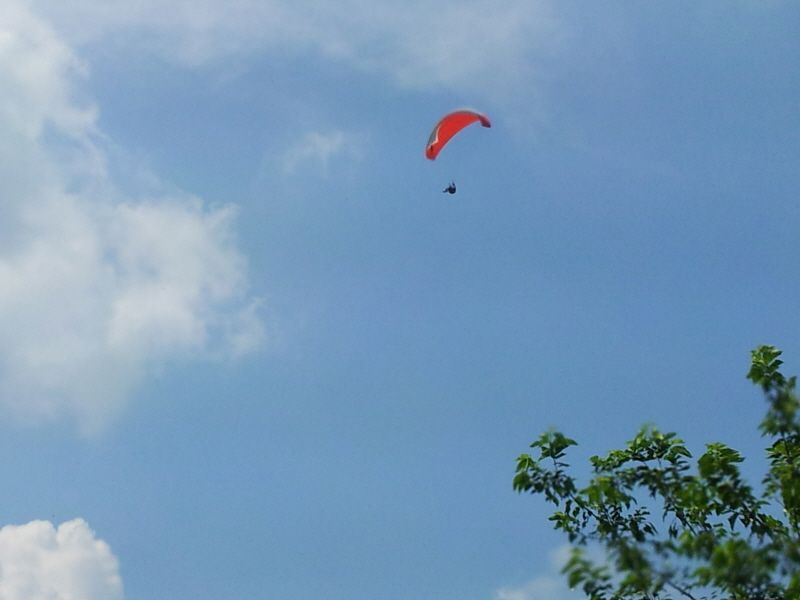 20120731_134656.jpg