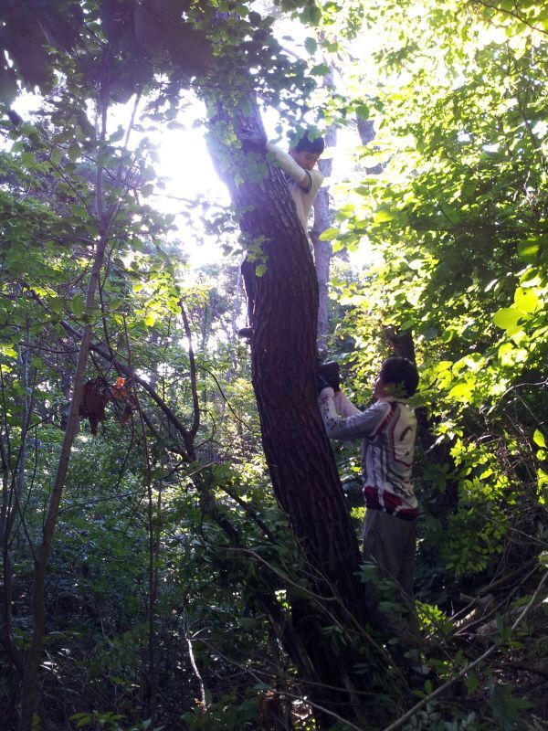 20120729_175427.jpg