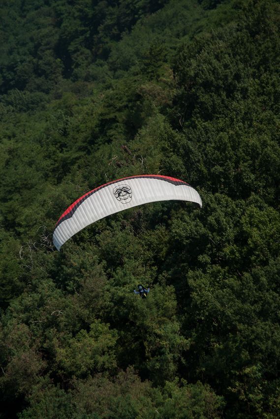 _D132739.jpg