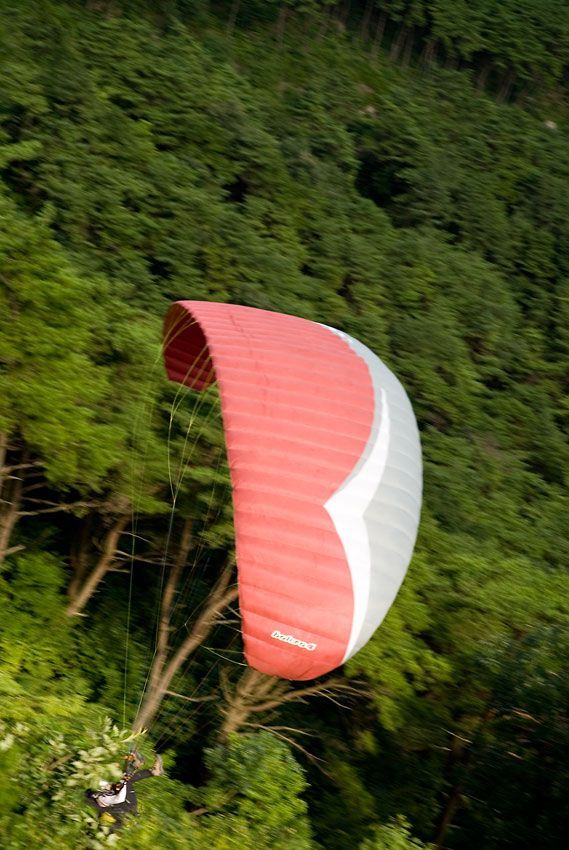 _D120278.jpg