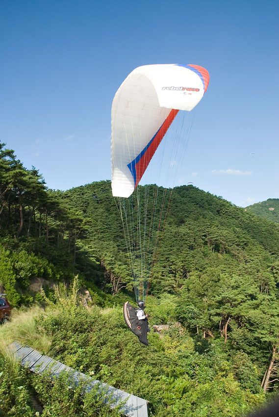 _D120260.jpg