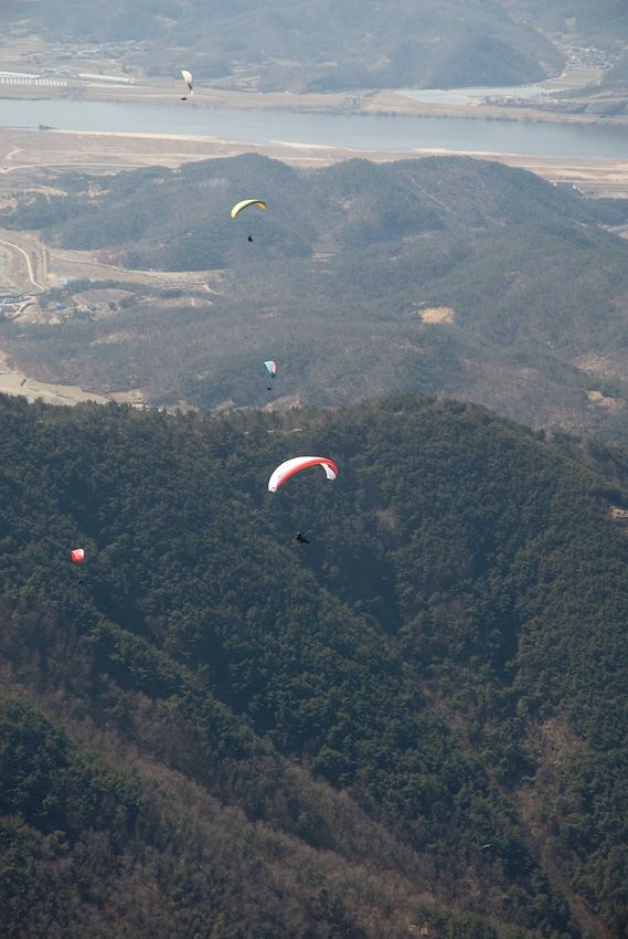 _D126781.jpg