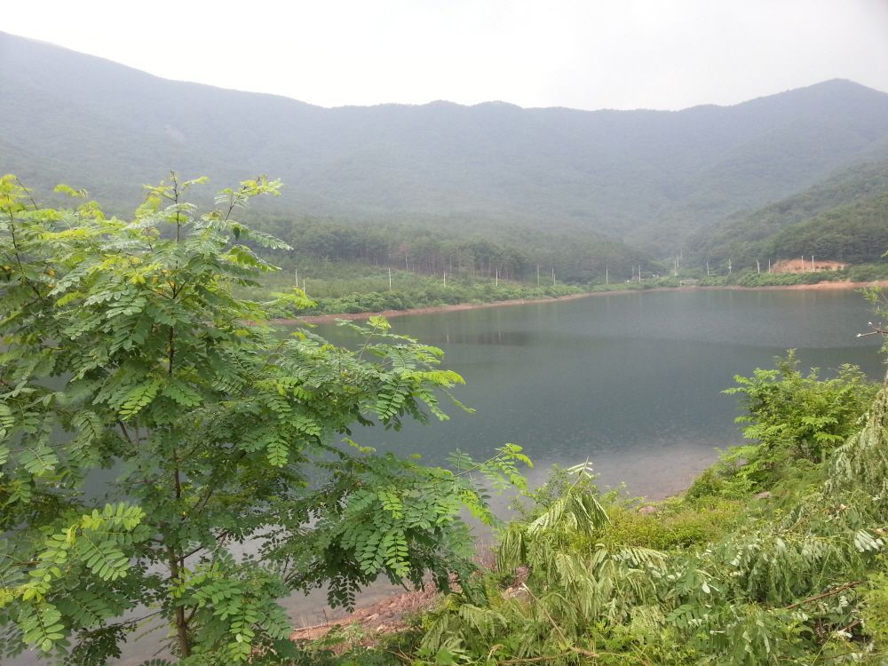 20130623_163526.jpg