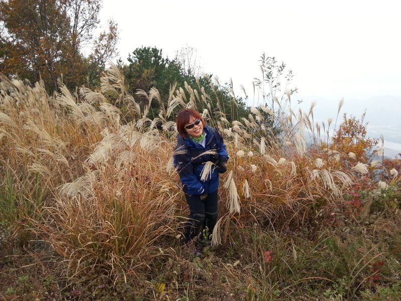 20131103_120239.jpg