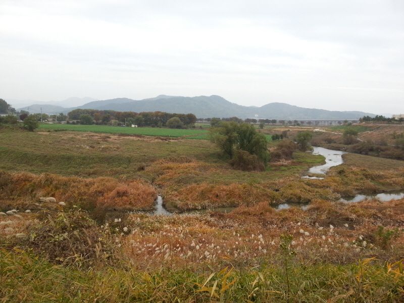 20131103_103038.jpg