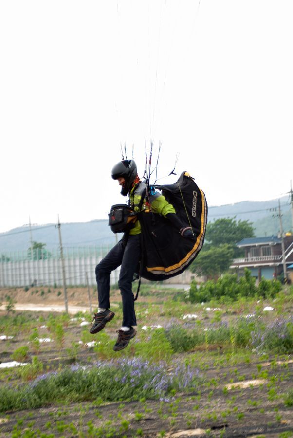 _D129222.jpg