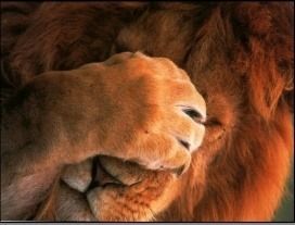 1343475400_facepalm_(7).jpg