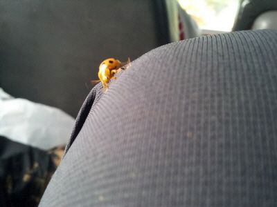 20120817_174251.jpg