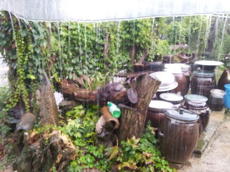 20120817_171831.jpg