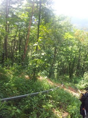 20120817_135751.jpg