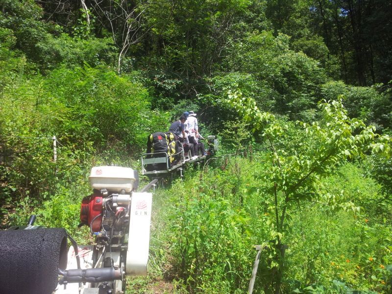 20120817_134828.jpg