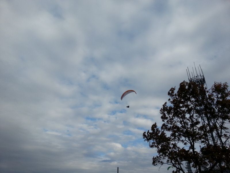 20131103_150359.jpg