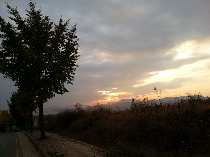 20131103_170905.jpg