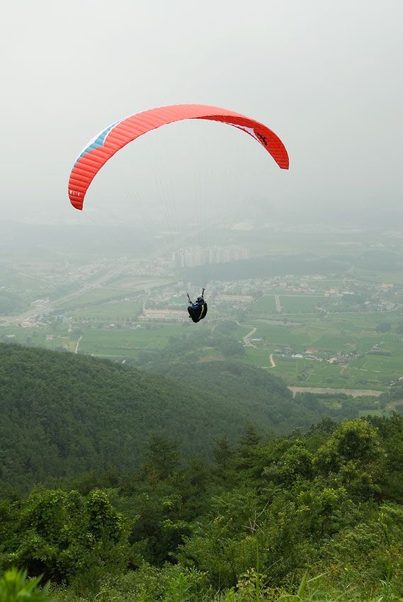_D120094.jpg
