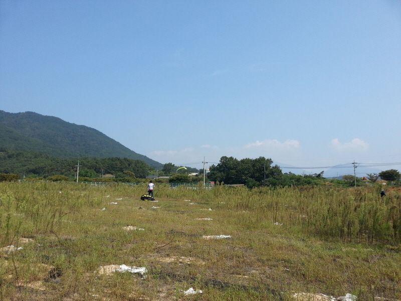 20130920_124356.jpg