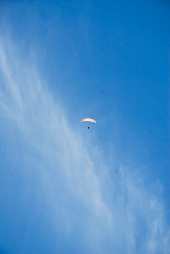 _D126540.jpg