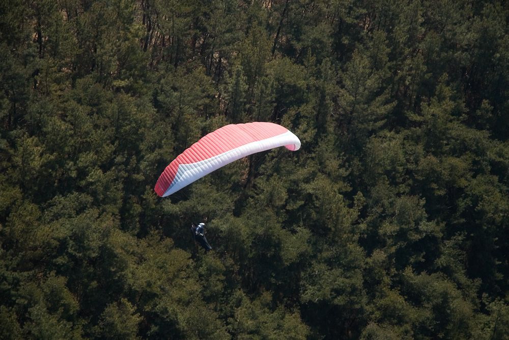 _D126464.jpg