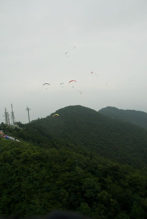 _D120288.jpg