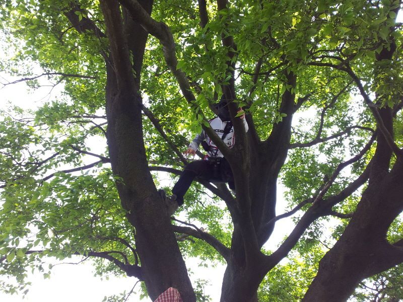 2012-05-20 11.35.10.jpg