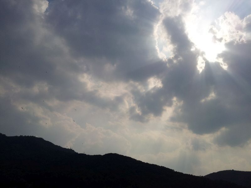 20120527_160842.jpg