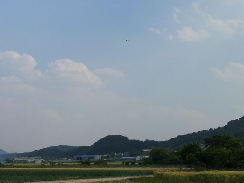 20120527_160629.jpg
