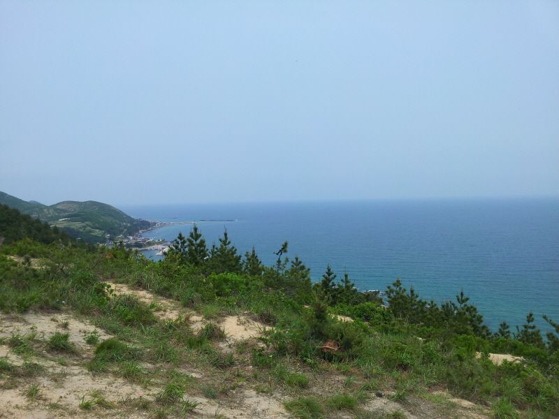 20120528_124110.jpg