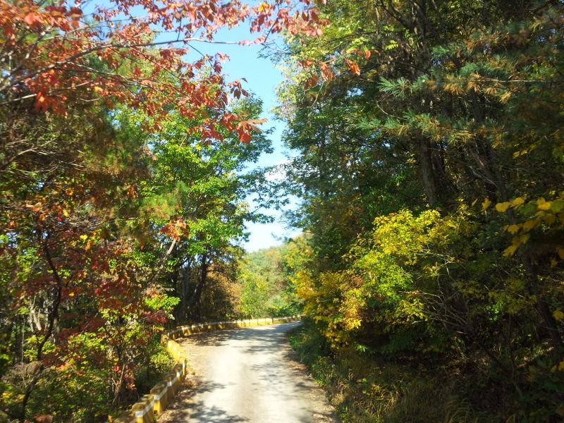 20121021_150133.jpg