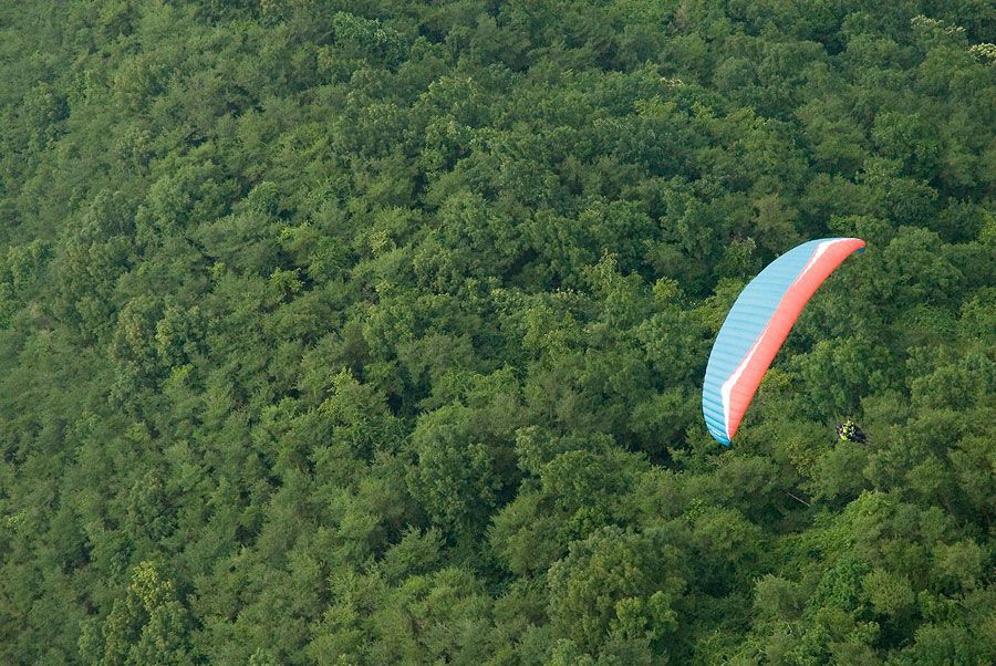 _D120129.jpg