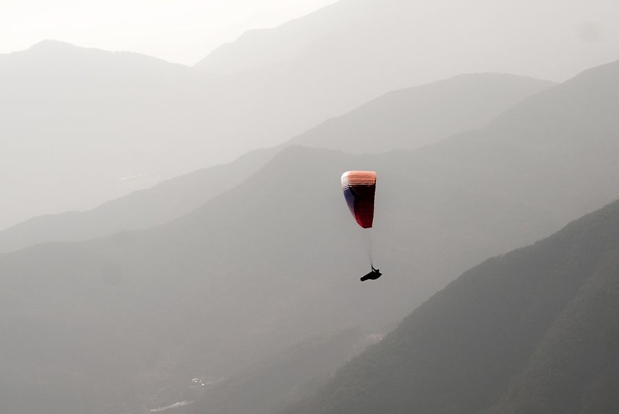 _D135511.jpg