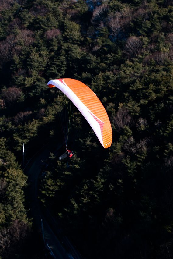 _D135476.jpg