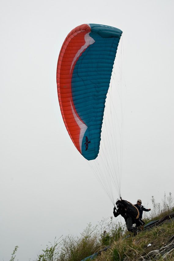 _D122559.jpg